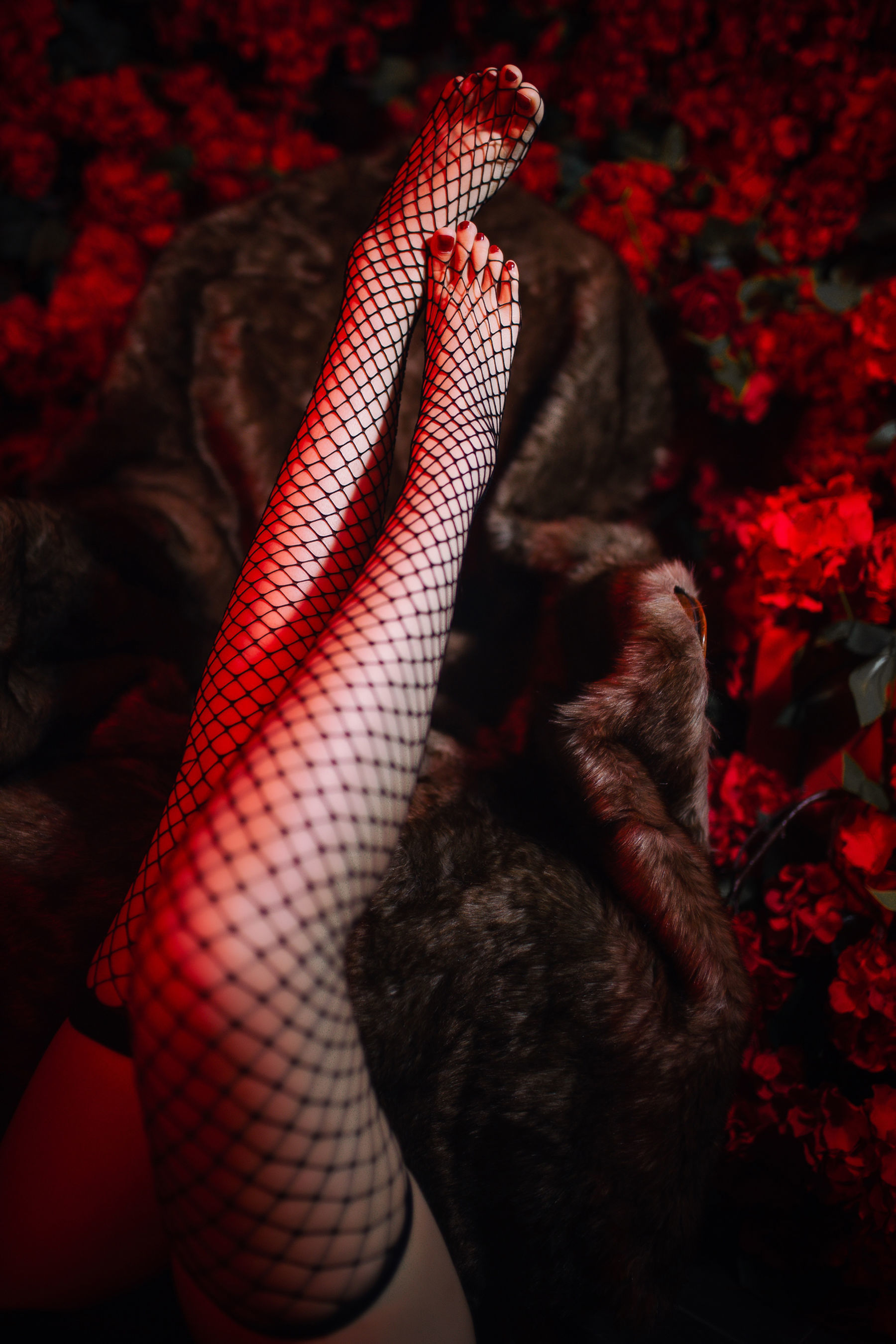 [网红COSER] 高颜值coser念念_D - 半人马旗袍 写真集 - Cos糖心-Cos糖心